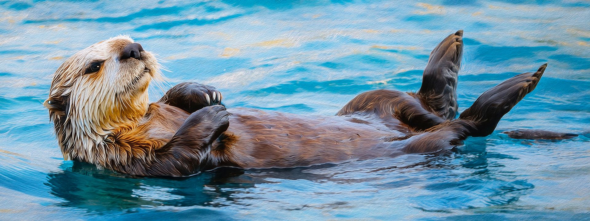 Sea Otter